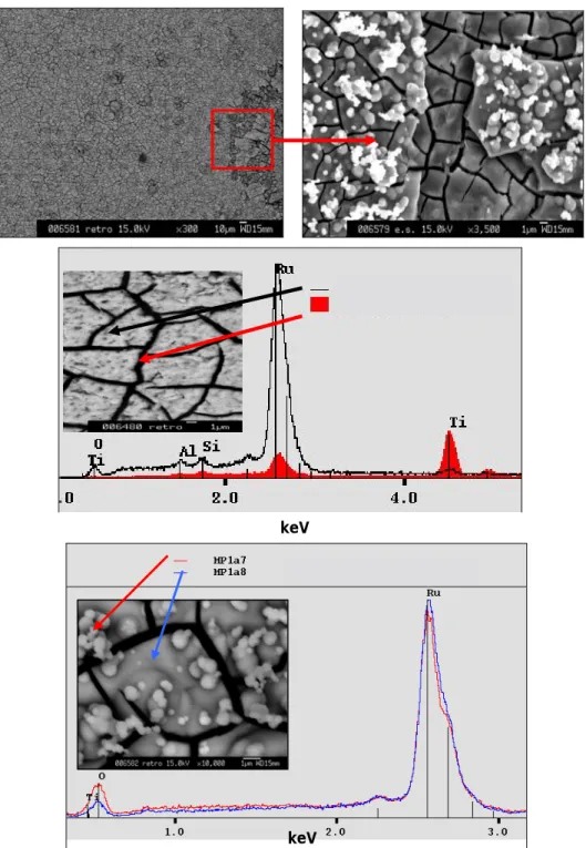 Figure 3: SEM micrographs and EDS spectra of Ru deposited onto painted substrate. 