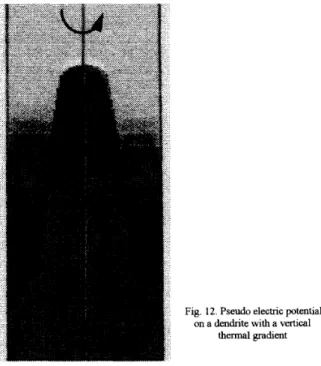 Fig.  12. Pseudo electric p  on a dendnte with a vn  thermal gradient 