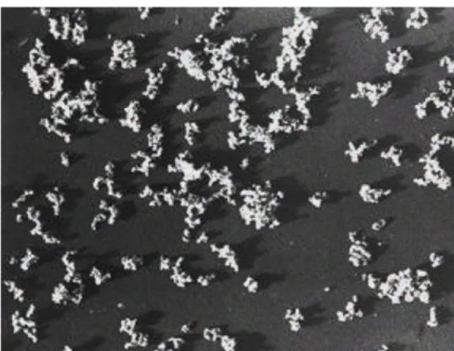 Figure 1: Comparaison des spectres de coefficient  Figure 2: Photo MET issue de [2] montrant les  d'extinction obtenus sur la silice HDK-T30 par   agrégats de nanoparticules de silice obtenus  lors  méthode inverse et avec la théorie de Mie  du processus d