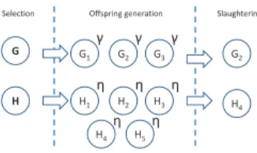 Fig. 4 Allopatric slaughtering of groups. Group G and group H are chosen for reproduction in the same iteration