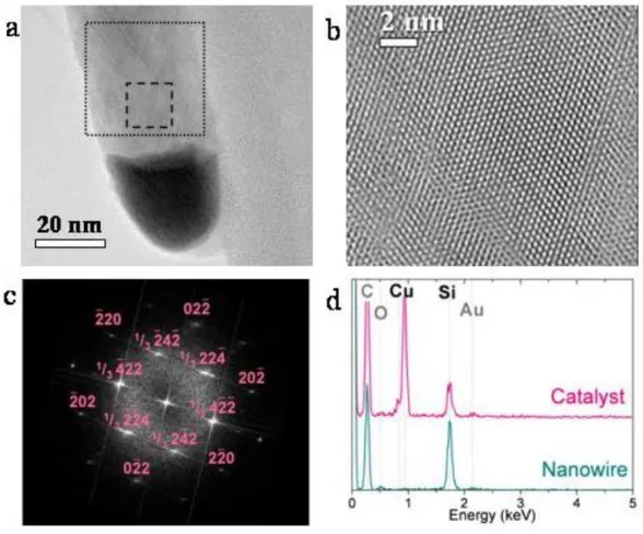 Figure 2: Structural and chemical characterization of nanowires. a,  HRTEM image of a straight nanowire with the catalyst at the tip