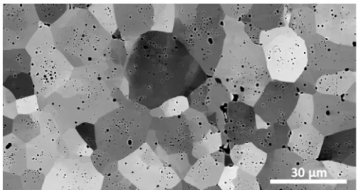 Figure 1. SEM micrograph (backscattered electrons mode)  of the central part of a pellet after compression test