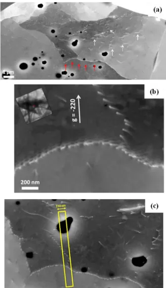 Figure 3  shows  the dislocations formed in  a grain after a  pellet deformation of 16% at a  100 µm/min  deformation  speed: free dislocations (cf