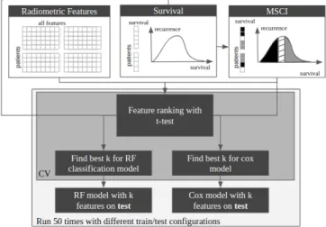 Fig. 1: Steps for features selection and survival prediction
