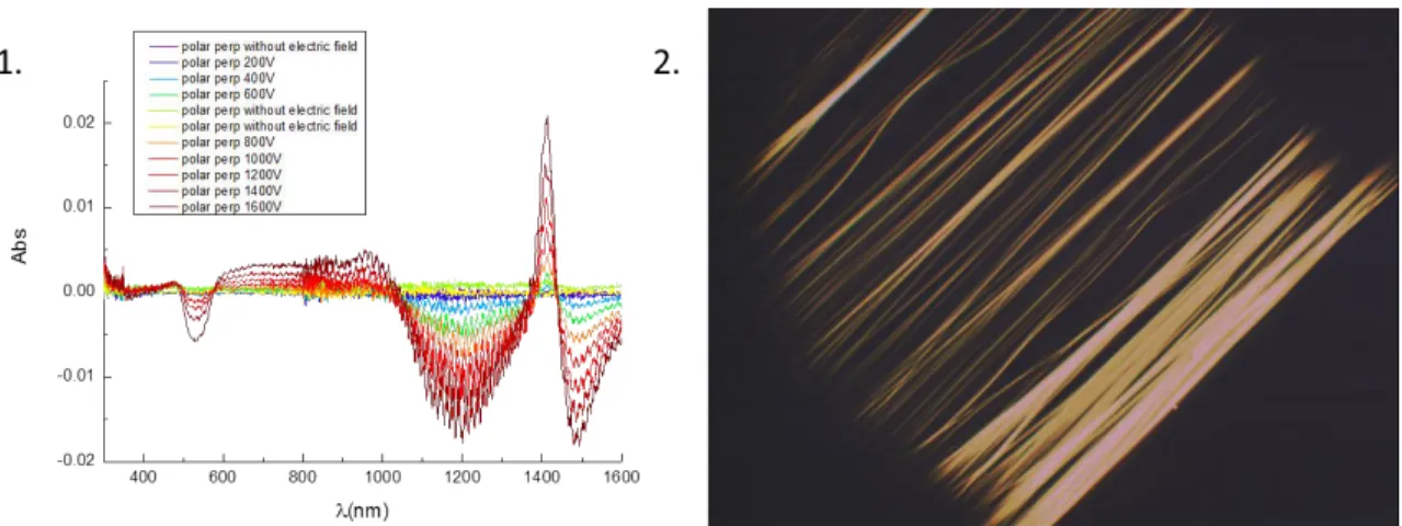 Figure : 1. Absorbance spectra of Gold NanoRods suspension for light polarization perpendicular to the electric  field