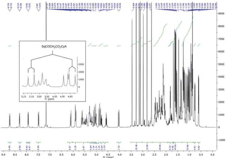 Figure 2.  1 H NMR of SqCsA (400 MHz, C 6 D 6 ). The AB system of the methylene system; the glycolate linker is enlarged