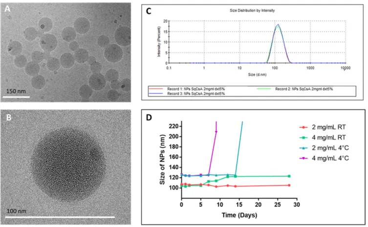 Figure 3. SqCsA nanoparticles (NPs) characterization by using cryogenic transmission electron microscopy (cryoTEM)  (A,B) and dynamic light scattering (DLS) (C,D) of NPs suspensions