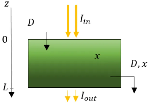Fig. 1. Scheme of the light-limited chemostat. 0 25000.512