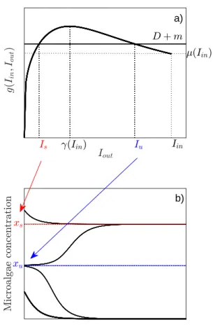 Fig. 3. a) Function g and its intersection with D + m.