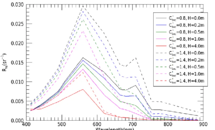 Fig. 9. Simulation of R rs  spectra of anoxic waters with various SOB layer  depths and concentrations