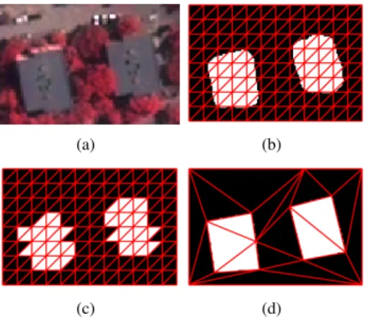 Fig. 1. Input image and example labeled meshes. (a) Input image, (b) Initial fine lattice, (c) Initial and (d) Optimized  la-beled triangle meshes