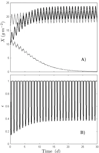 Fig. 5. A) Comparison of the evolution of biomass concentration of the controlled culture (continuous line) and the non-controlled culture (dotted line) for different initial concentrations at a dilution rate D = 0.3d −1 