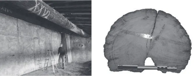 Fig. 13  – La panne faîtière, marquée « XXVII », au deuxième plan sur la photographie de gauche, est située dans l’ombre au sommet   de la cloison