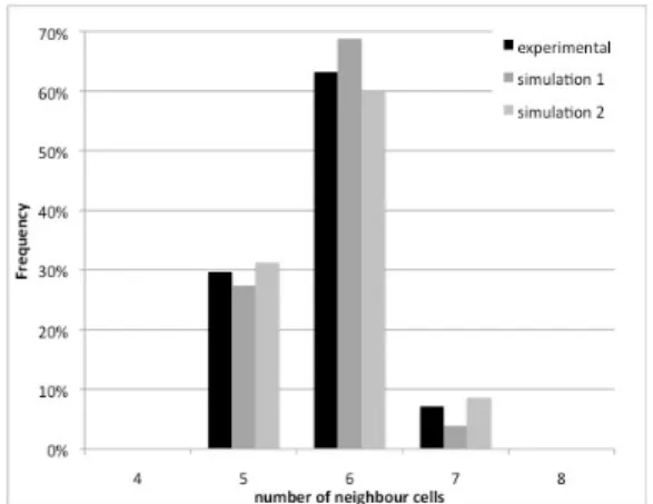 Figure 1: End of the simulation, inside the cell the   index of the cell/neighbour-number is noted.