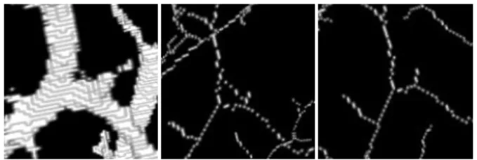 Fig. 2. From left to right: close view of the smoothed image; skele- skele-ton obtained from the smoothed image with the distance-ordered  ho-motopic thinning, a loop (i.e