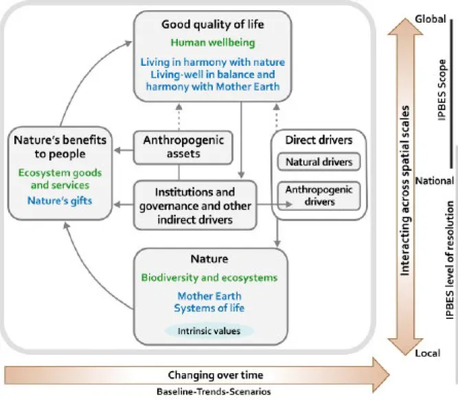 Fig. 1: Conceptual Framework of IPBES work, which acts as a guiding principle for past and ongoing assessments ( Díaz et al