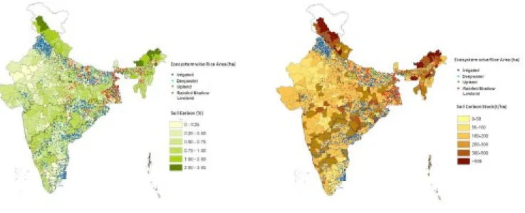 Fig. 1: First map showing Soil Carbon status in 0-20cm depth and the second map depicts the soil organic carbon stock in the same  depth in all the rice ecologies of India