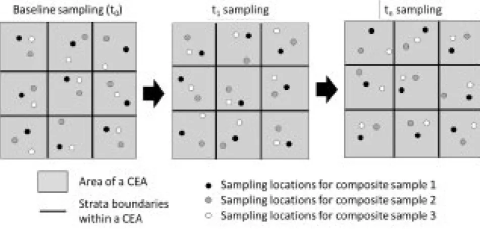 Figure 2.  Sampling design defined for the “Sequestering carbon in soils in grazing systems” methodology