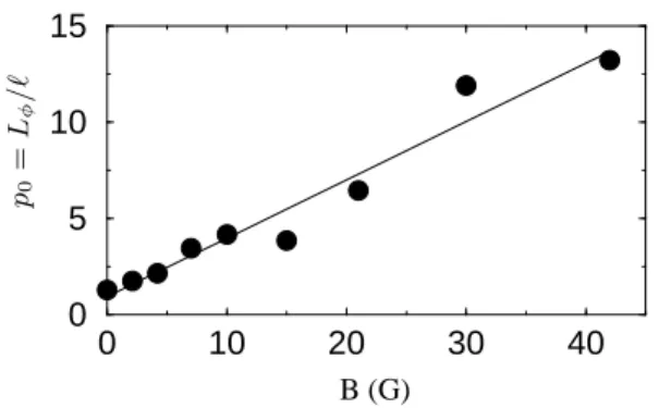 FIG. 4: Plot of p 0 = L φ /ℓ versus B, as extracted from our Monte-Carlo calculation, as a function of the magnetic field B