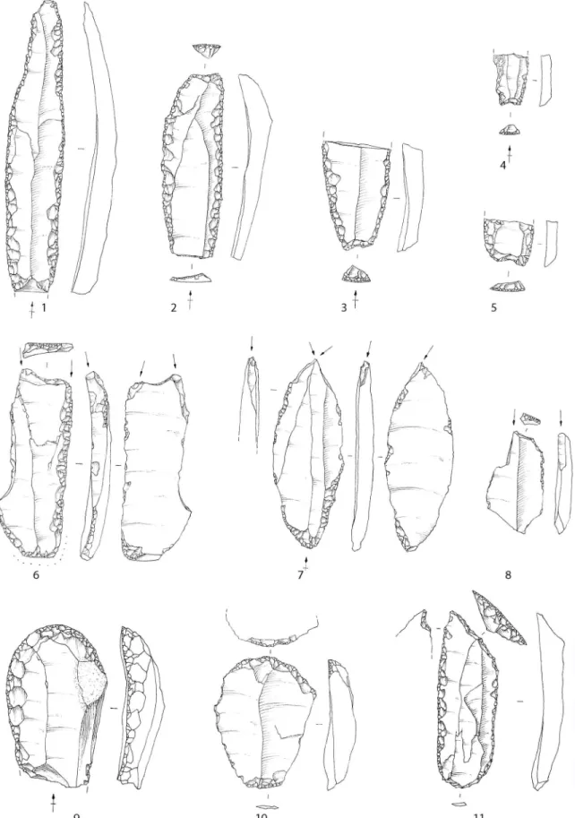 Fig 4. Domestic tools from Le Rocher de l’Impe´ratrice (drawing F. Blanchet). 1–5: flat retouched blades; 6–8: burins;