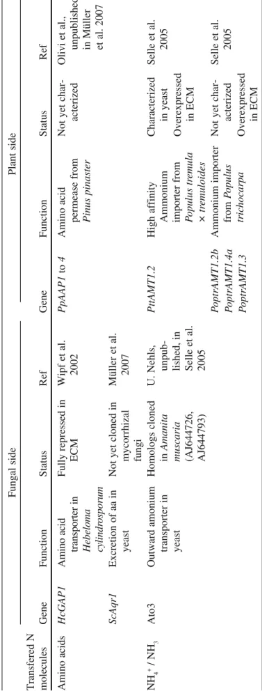 Table 6Candidate N molecules and genes which could be involved in N exchanges between fungal and plant cells at the Hartig net level in ectomycorrhizal  roots Fungal sidePlant side Transfered N  moleculesGeneFunctionStatusRefGeneFunctionStatusRef Amino aci