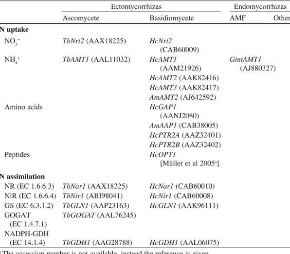 Table 3 N uptake and N metabolism related genes of mycorrhizal fungi which have been cloned  and characterized or whose expression has been determined