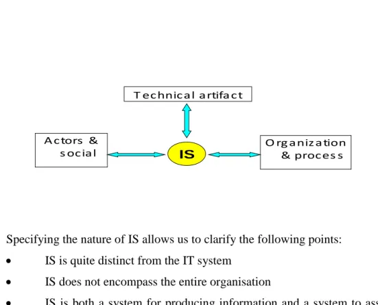 Figure 2. Nature of IS : a triad 