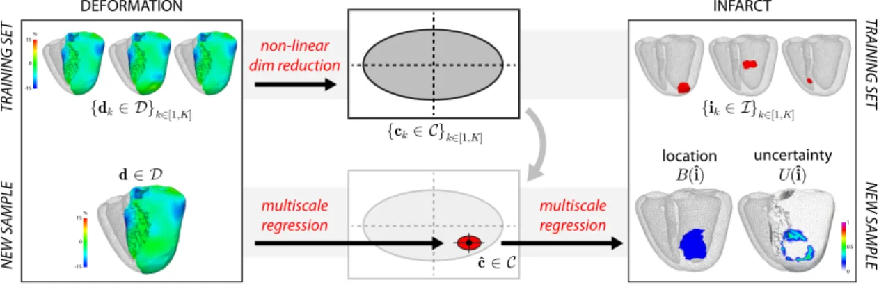 Fig. 1. Proposed pipeline to predict infarct location from local myocardial deformation and quantify the uncertainty in the prediction.