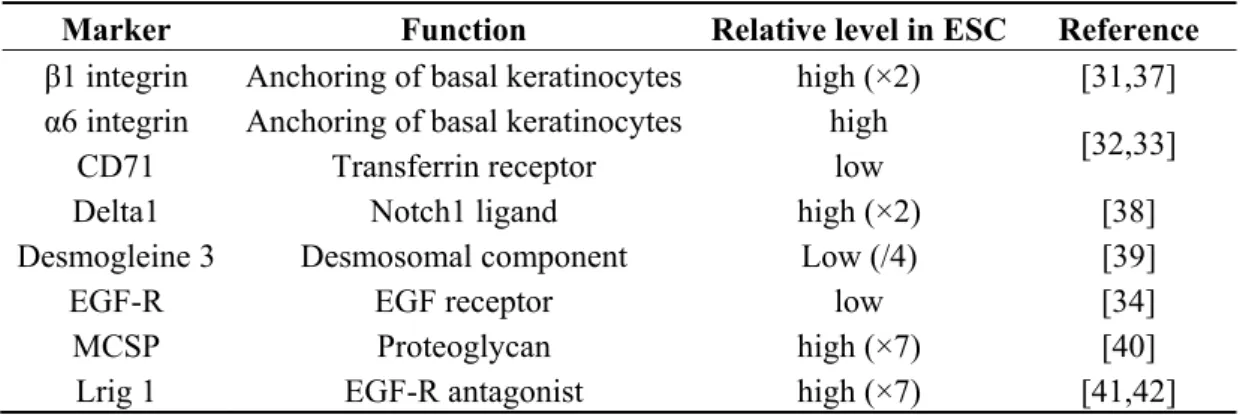 Table 1. Representative markers used for enrichment of stem cells of the interfollicular  epidermis