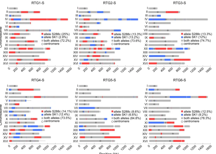 Fig 2. Genome-wide genotype of the six RTG strains obtained upon arginine prototroph selection