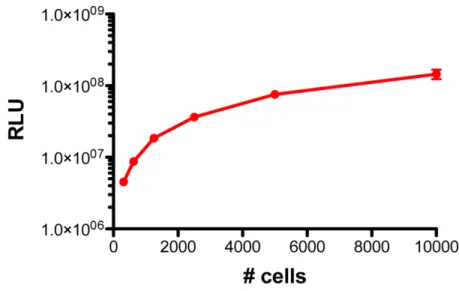 Figure 1: Luminescence of H295R/TR SF-1 GFP-luc cells.  Various numbers of cells (1:2 dilutions starting from 10 4  to 312/well)  were seeded in triplicate in a 96-well plate and luminescence measured by an in vitro luciferase assay.