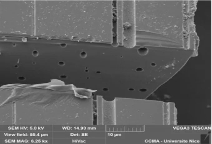 Fig. 1. Partial volume reconstruction of the core of the optical fiber imaged by FIB and SEM