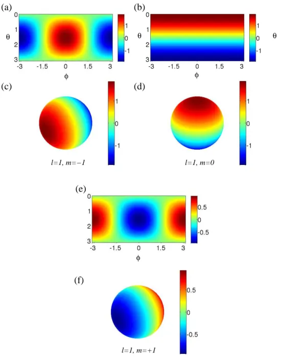 Fig. 5. Representations of the real part of the SH Y l m (θ, φ) for l = 1 and the 3 possible values of m