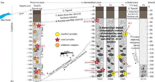 Figure 6 illustrates the stratigraphic profiles for all sampling points in the abandoned  fishponds in Kiantar Village