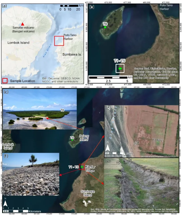 Figure 2. (a) The geographical situation of sample location in the context of Samalas volcano, Lombok, and Sumbawa  Islands; (b) sample collection location in abandoned fishponds in Kiantar Village (T1–T5) and Belang Island (T6) on the  western coast of We