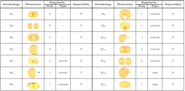 Table 4: Descriptions of the topology, singularity (number and type), and separability of the 14 non-equivalent mor- mor-phologies in Table 3.
