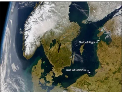 Figure 9.8 – Vue satellite de la mer Baltique, le 1 er  avril 2004. Les eaux côtières se teintent de marron et de vert, témoignant  de  la  densité  des  apports  sédimentaires  et  de  blooms  printaniers  de  phytoplancton