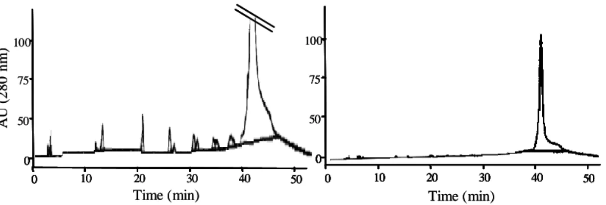 Figure 4. Profile of procyanidins by Normal-Phase HPLC. At the initial (A) and at the end (B) of the  fermentation time