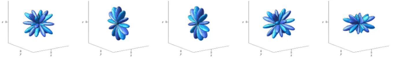 Figure 5.1. Illustration of the elements u (6) 1,j in the B 3 -symmetric basis of H 6