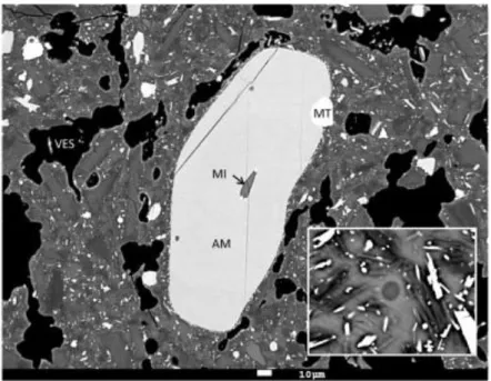 Fig. 7. Backscattered electron image of andesite from 4 November, 2010. Sample is from a 