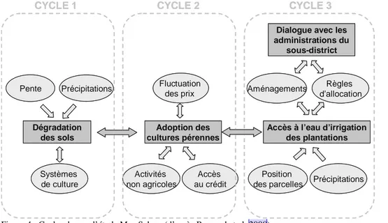 Figure 4 : Cycles du cas d’étude Mae Salaep (d’après Barnaud et al. 2008) 