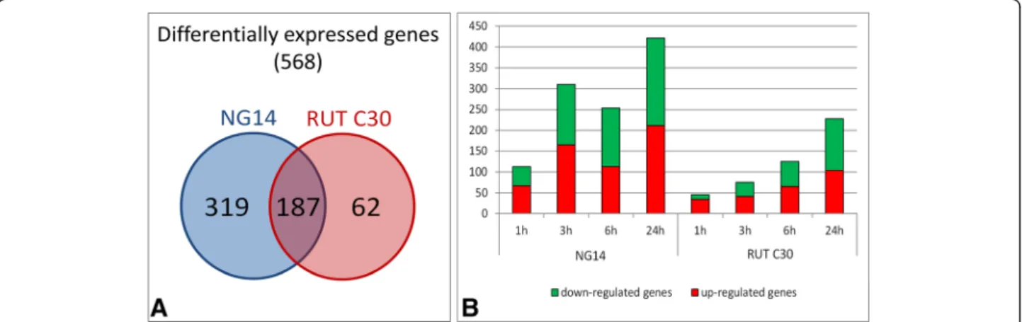 Table S1. The numbers of differentially expressed genes found specifically for each strain and shared in both strains are shown in Figure 2A