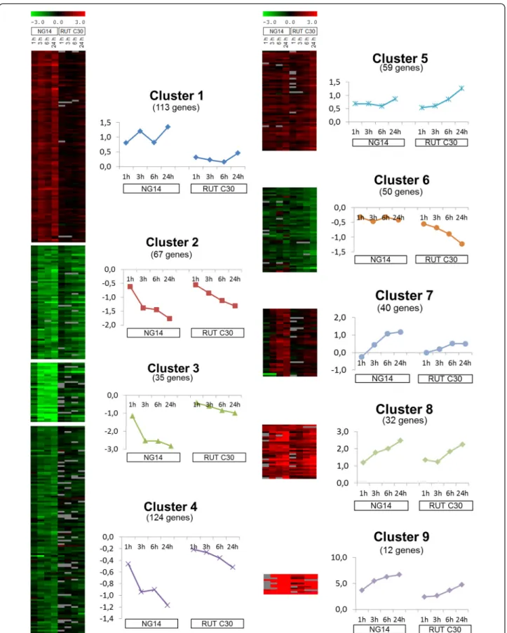 Figure 3 Clustering of differentially expressed genes during induction by lactose in both studied strains