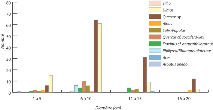 Fig. 5 – Distribution of the wood species of the piles by diameter class (xylological analysis: S