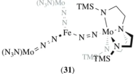 Figure 7. Schrock’s tetranuclear FeMo 3  dinitrogen complex (31) (TMS = trimethylsilyl)