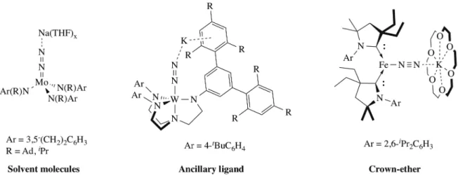 Figure 1. Support of the alkali cations coordination to end-on N 2  ligand. 