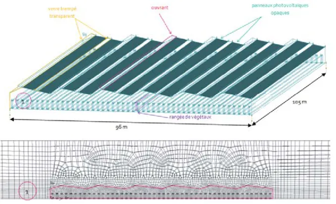Figure 1 Geometry and mesh of the asymmetric greenhouse and its environment  