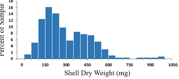 Fig. 3. The observed distribution of shell sizes occupied in P. longicarpus. Shell size is indicated  by weight in milligrams