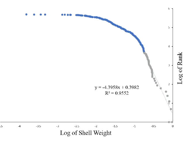 Fig. 4. Hill estimation of the power-law exponent for the shell distribution. The exponent is  given by the slope of the log-log regression of the ranks of the shells versus their size