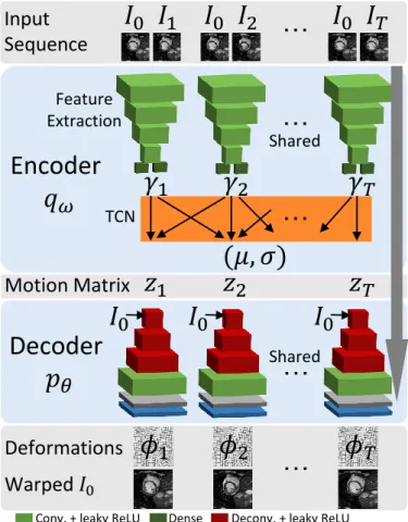 Fig. 1. (a) Generative process for the motion model representing the likelihood of fixed images I 1:T given the latent variables z and moving image I 0 : p θ (I 1:T |z, I 0 ), where ω and θ are fixed parameters and arrows denote dependencies between random